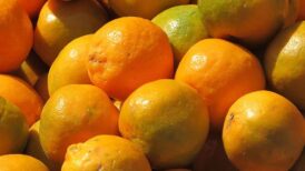 Nagpur_orange_fruit